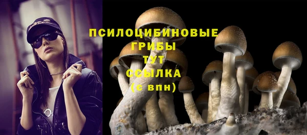 мяу мяу мука Белоозёрский