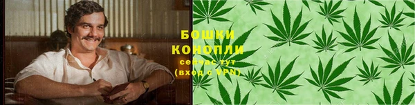 spice Белокуриха