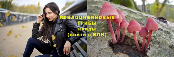 мяу мяу мука Белоозёрский