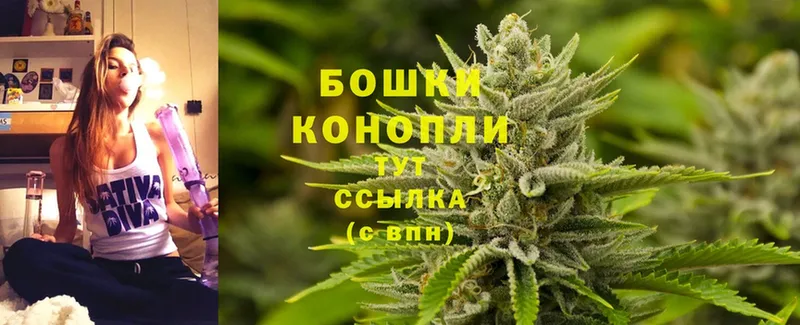 закладка  Городовиковск  Шишки марихуана SATIVA & INDICA 